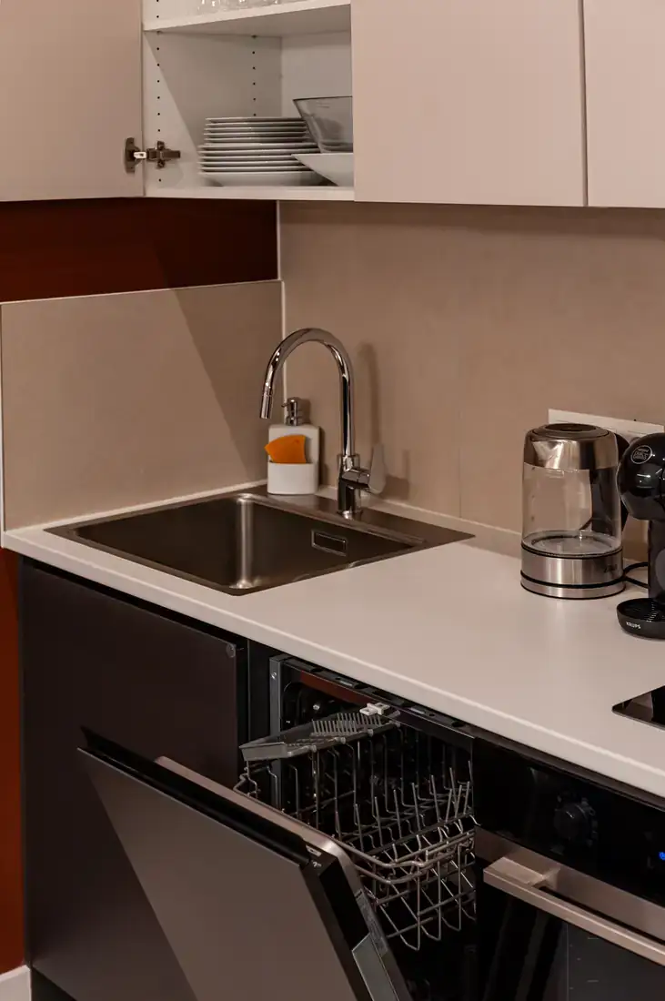 Sink and dishwasher